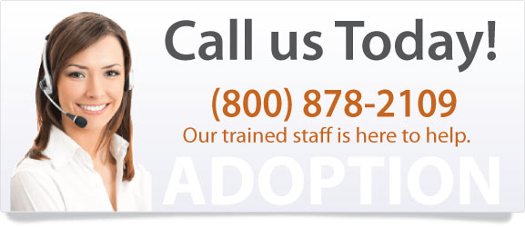 Support to help with stepparent adoption.
